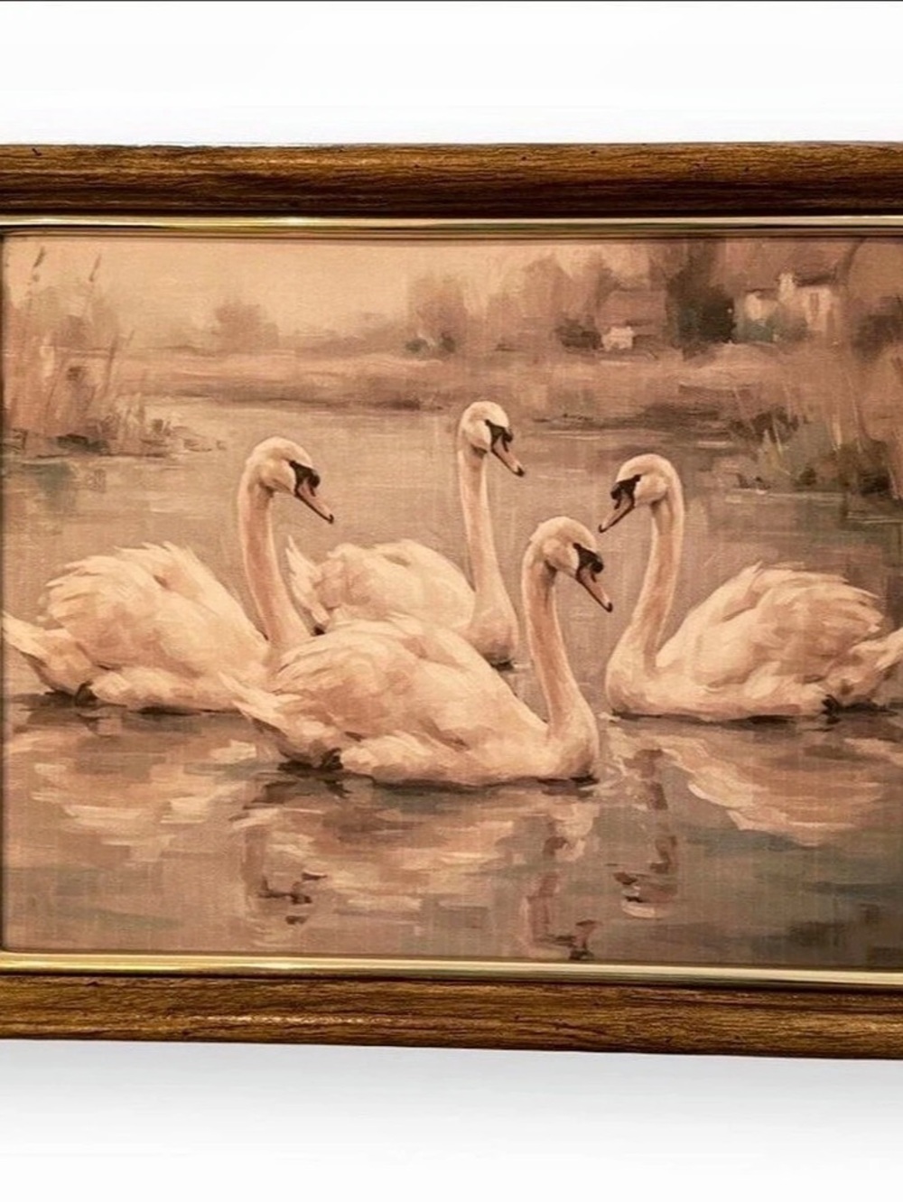 Vintage Framed Swan Print
